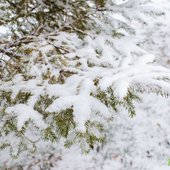 Накануне Нового года во Владивостоке прошёл долгожданный снег