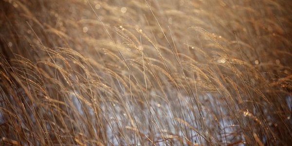 Завтра в Приморье станет немного теплее, но ненадолго