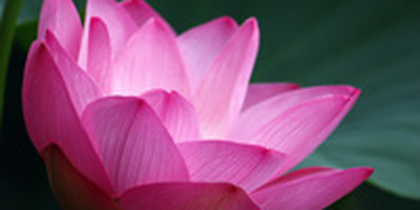 Какая погода ожидает Приморье в выходные?