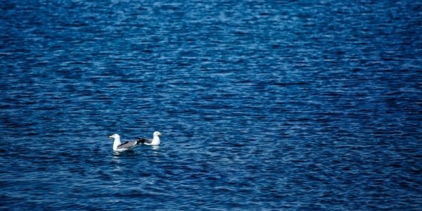В Приморье пришли по-летнему тёплые дни