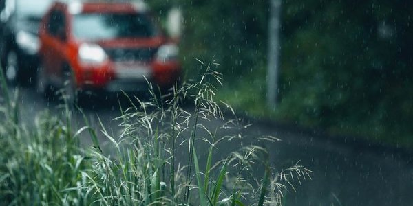 Небольшой дождь пройдет в Приморье во вторник