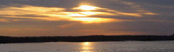 Международная экспедиция изучит влияние Амура на воды Японского и Охотского морей