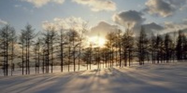 Вторая декада ноября выдалась холодной