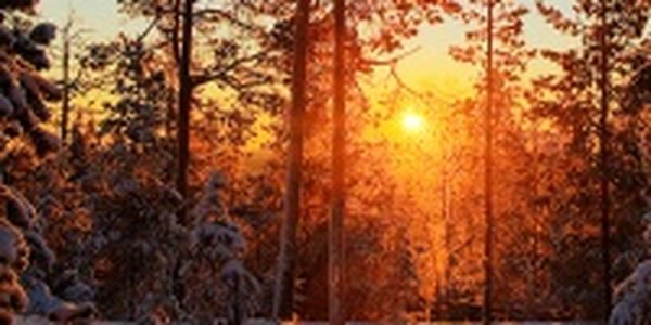 В Приморье пришло долгожданное тепло