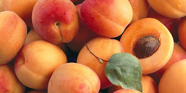 14-15 июля в центре Владивостока пройдёт ярмарка