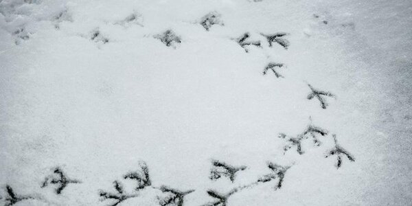 Потепление и снег: какой будет погода в Приморье в выходные дни