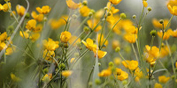 В Приморье выходные были пасмурными