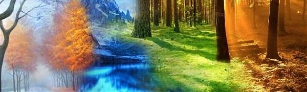 Ученые: лето и зима на Земле могут поменяться местами