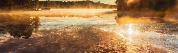 Климатолог предупредил о риске аномальной жары в России