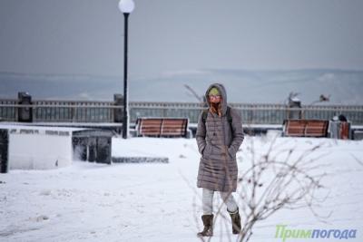 Сильный ветер во Владивостоке стал причиной нескольких ЧП