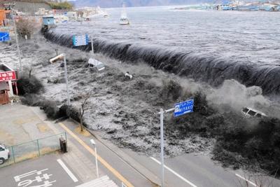 Российско-японская команда ученых займется изучением цунами в Японском море