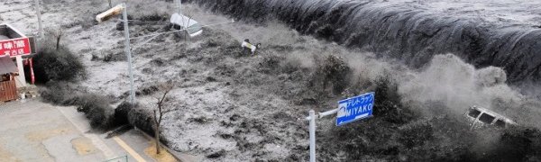 Российско-японская команда ученых займется изучением цунами в Японском море