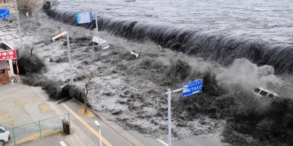 Российско-японская команда ученых займется изучением цунами в Японском море
