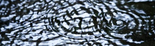 На реках Приморья ожидаются дождевые паводки с резким подъёмом воды 