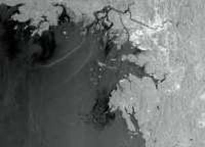 Крупная утечка нефти произошла в Канаде