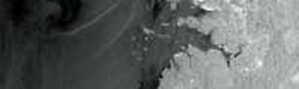 Крупная утечка нефти произошла в Канаде