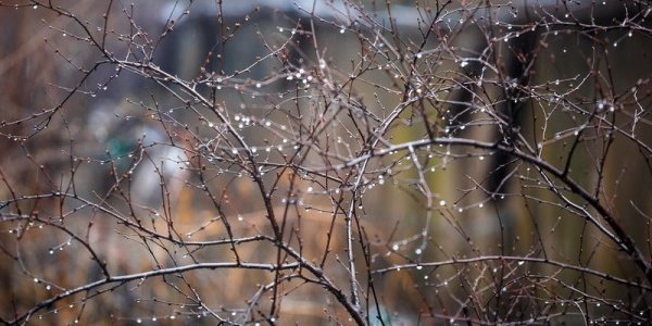 Завтра в Приморье пройдут дожди, возможны грозы