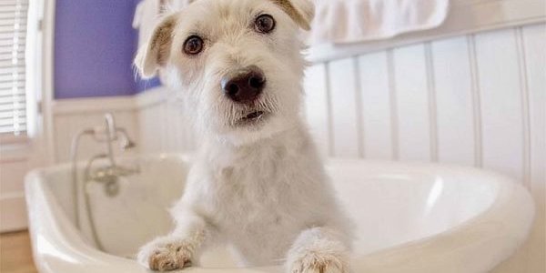 Первый этап гидравлических испытаний пройдет во Владивостоке с 8 по 15 сентября