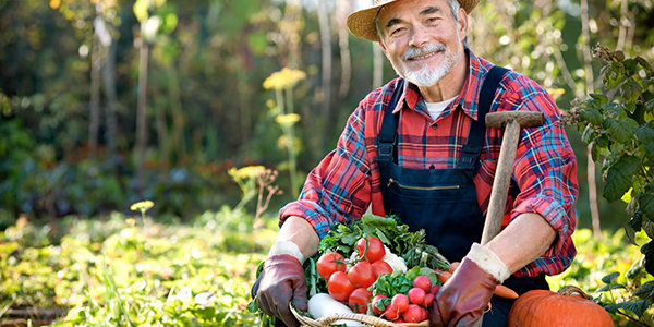 Завтра во Владивостоке отметят День садовода и огородника