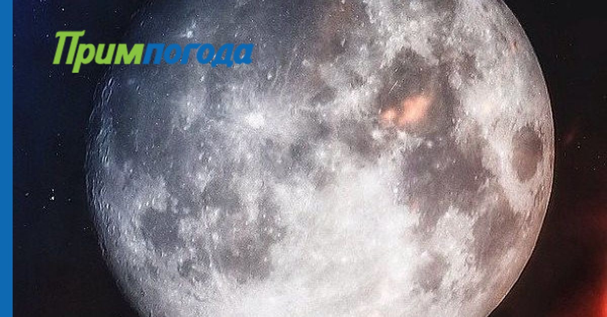 Какие животные первыми облетели вокруг луны. Роскосмос фото Луны. Роскосмос Луна 2015. Луна 2035. Луна фото на ней Роскосмос.
