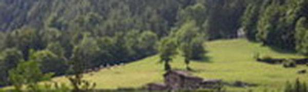 Завтра небольшие дожди начнутся в западный районах края