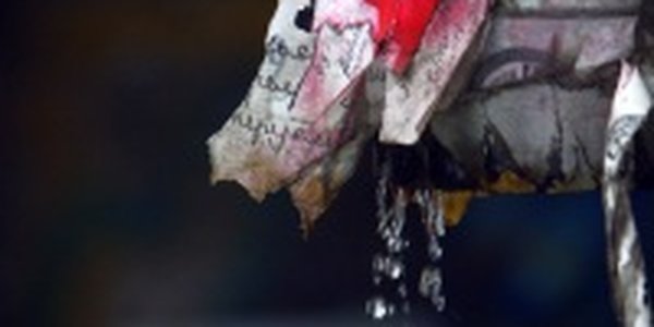 Дождливое лето