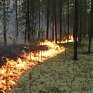 Ситуация с пожароопасностью в Приморье может измениться