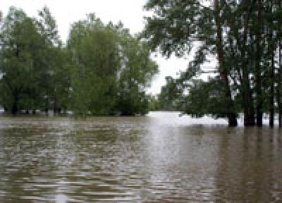 Циклон значительно повлиял на уровень воды в реках Приморья