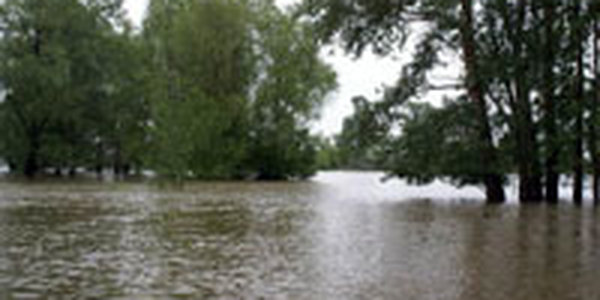 Циклон значительно повлиял на уровень воды в реках Приморья