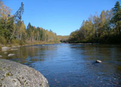 Река Рославка