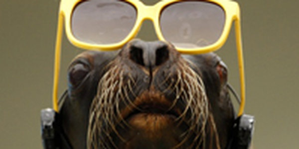 Как в разных странах наблюдали солнечное затмение (ФОТО)