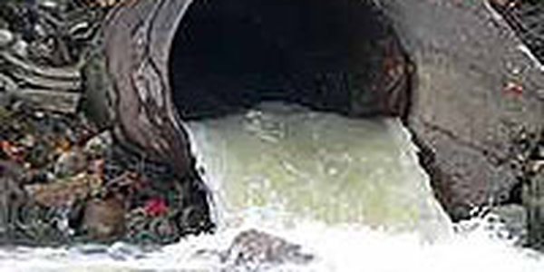 Во Владивостоке нет чистых пляжей