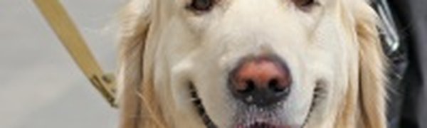 А что скажут люди: весной самое время...