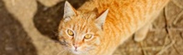 Вчера во Владивосток заглянуло лето