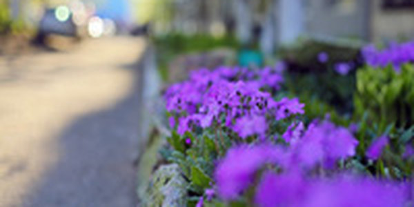 Сегодня и завтра над Приморьем затишье