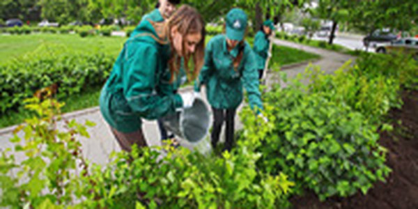 Экологические акции стали доброй традицией для нефтяной компании НК «Альянс»!