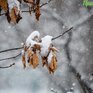 Завтра в Приморье вновь ожидается снег