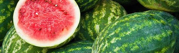 Сезон продажи арбузов и дынь стартует на главной ярмарке Владивостока