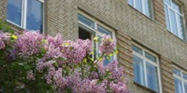 Краски лета (ФОТО)