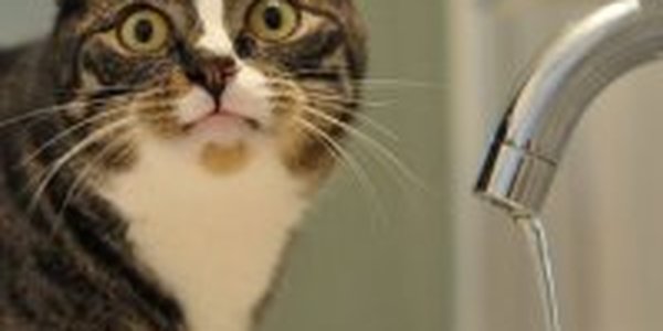 Владивосток: С водой проблем не будет!