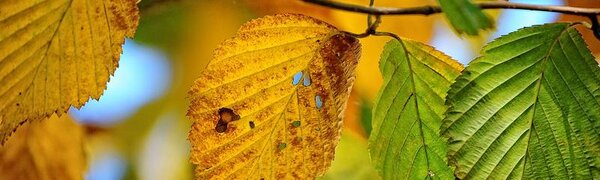 Вчерашний день оказался самым теплым во Владивостоке с начала октября 