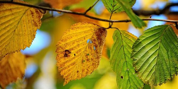 Вчерашний день оказался самым теплым во Владивостоке с начала октября 