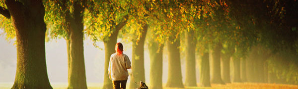 Ходьба улучшает творческие способности