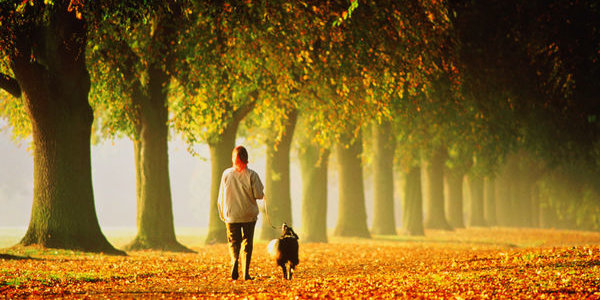 Ходьба улучшает творческие способности