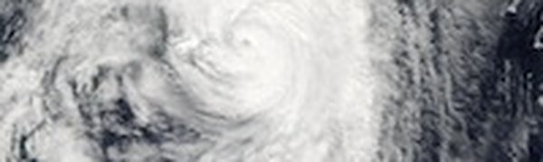 На свет появился новый тайфун MAWAR