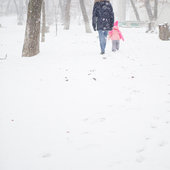 Очередной циклон принес в Приморье не только потепление, но и долгожданный снег