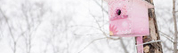 Очередной циклон принес в Приморье не только потепление, но и долгожданный снег