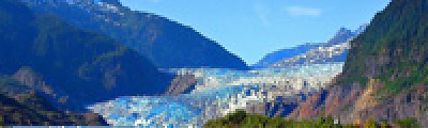 Под ледником Аляски обнаружен древний лес