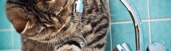 Горячую воду начнут отключать во Владивостоке с 10 мая