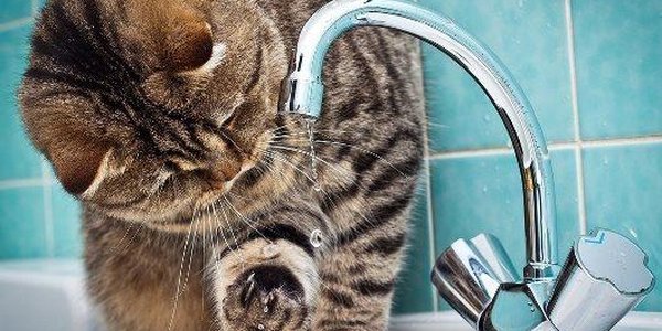 Горячую воду начнут отключать во Владивостоке с 10 мая